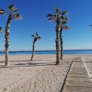 Alicante589163980_4380444905516763_8235570631596502139_n