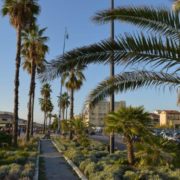 DSC_0139Viareggio