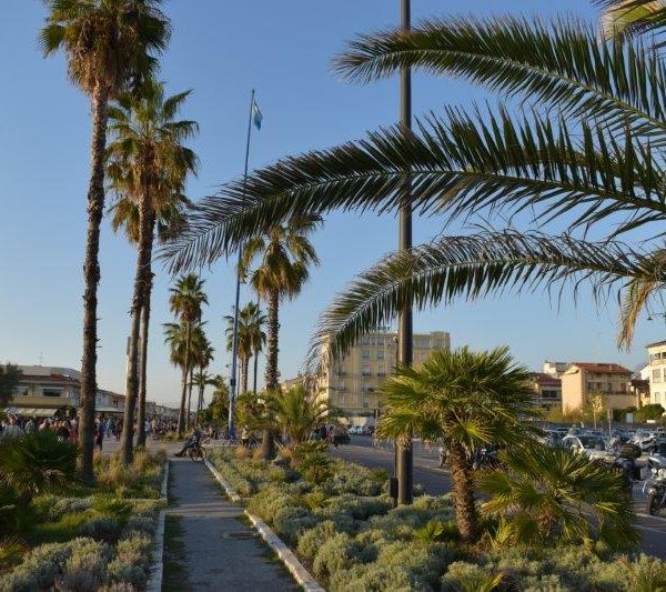 DSC_0139Viareggio