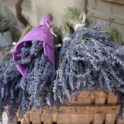 DSC_0291Baux en Provence Levandule